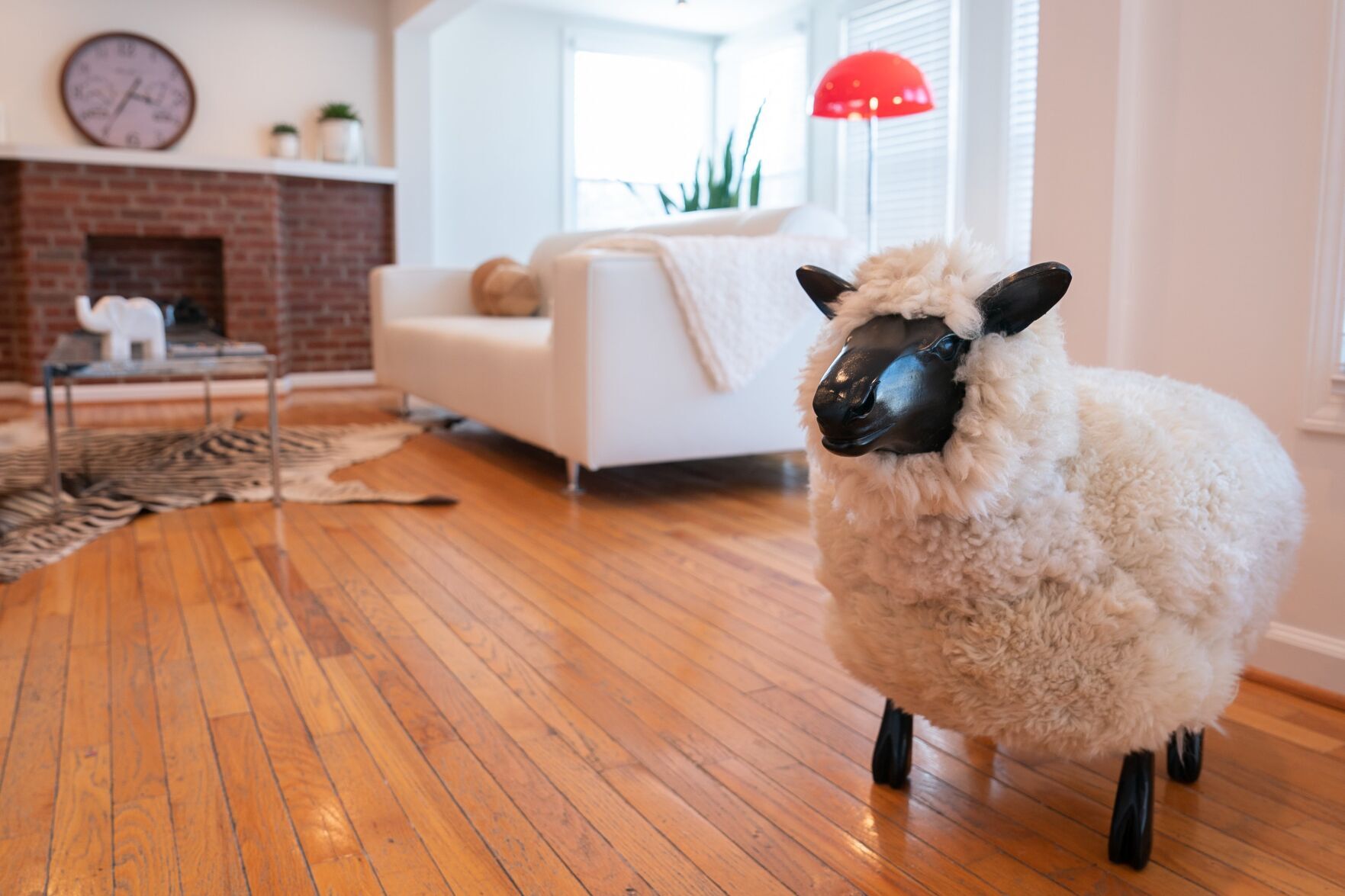 At Home with Jose Gomez